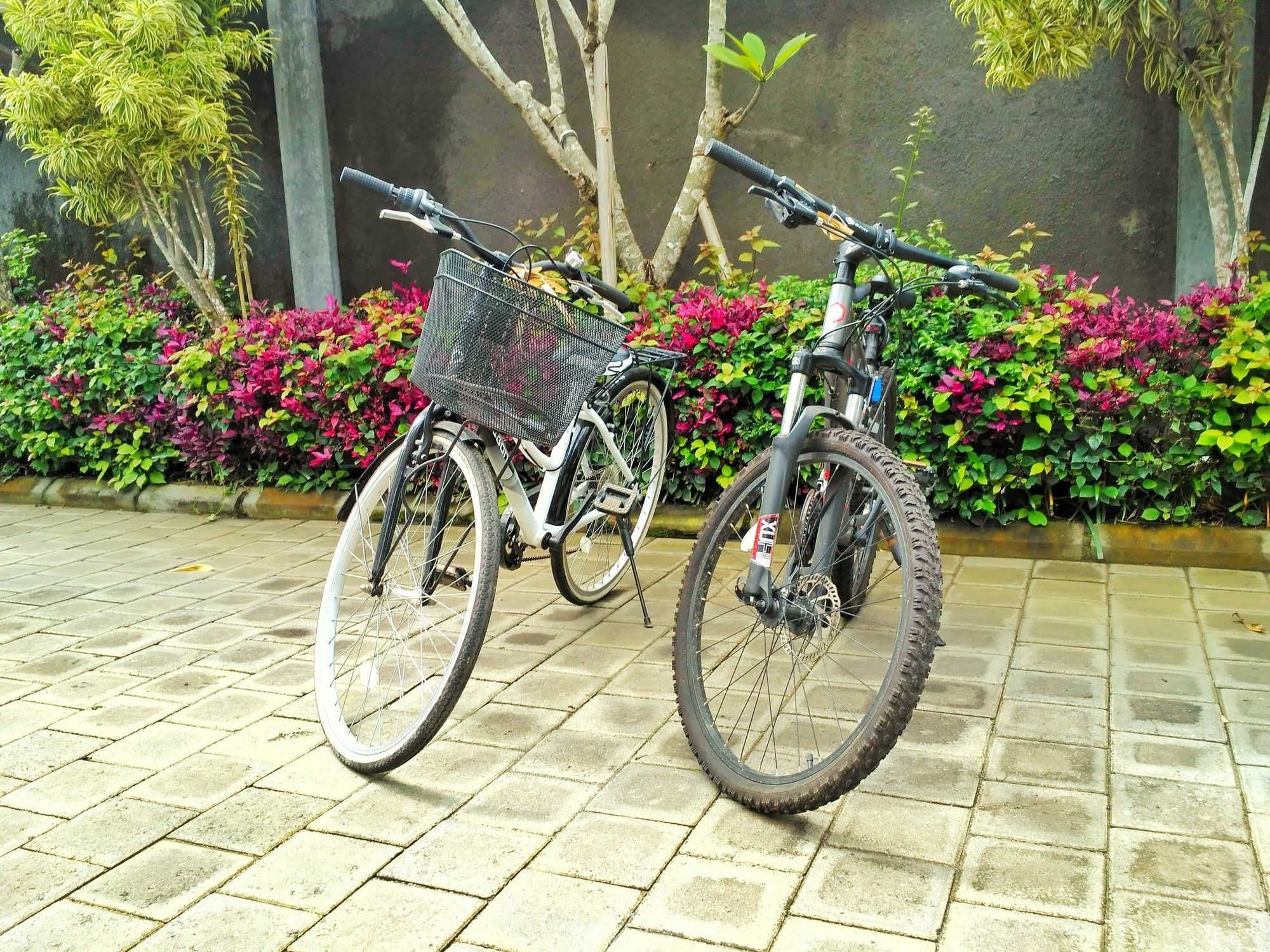 Amelle Villas & Residences Canggu Exterior foto